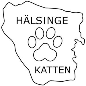 Hälsingekatten