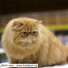 Mystery Hotter Than July